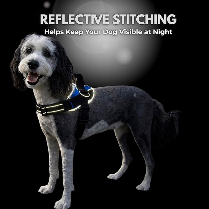 ShawnCo Essential Dog Harness, No-Pull Pet Vest with 3 Leash Clips, No Choke, Reflective, Adjustable and Padded, for Easy Walking and Training for Small, Medium and Large Dogs (Midnight, S)
