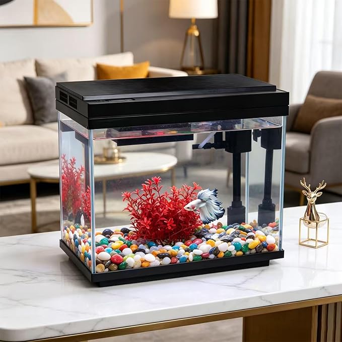 FS&AQ 3 Gallon Fish Tank with Filter and Light No-Install Small Aquarium Starter Kit