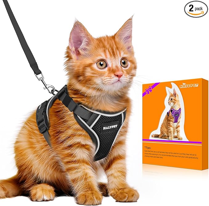 Halypet Cat Harness and Leash Set - MAX Safety 4th-Gen Upgrade, Escape Proof, Adjustable, Comfortable Soft Vest, Easy to Wear Kitten Harness with Reflective Strip for Cats Walking - Small Black