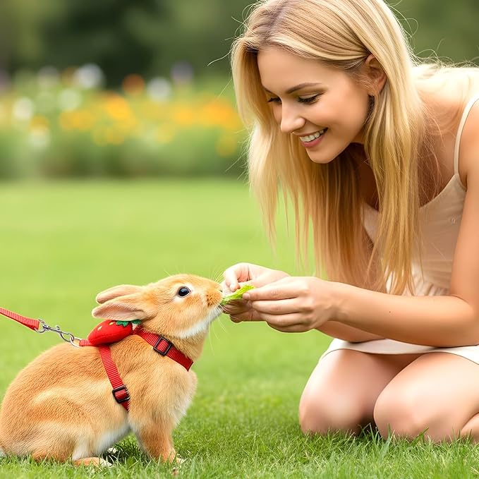 2PCS Bunny Harness and Leash Guinea Pig Leash Rabbit Bunny Leash Kitten Harness and Leash Set for Guinea Pig Ferret Cat Puppy Duck Small Pets Outdoor Walking