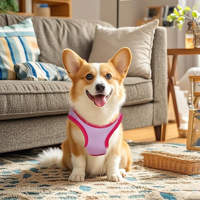 Pistha 4 Pack Dog Shirts Summer Printed Puppy Clothes Cute Sleeveless Pet T Shirts Dog Clothes for Small Medium Dogs Cats Girl(S)