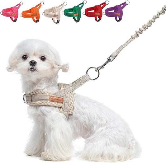 BEAUTYZOO Dog Harness for Small Dogs, No Pull Dog Harness and Leash Set, Soft Escape Proof Puppy Vest Harness with Handle, Reflective Lightweight Step in Harness for Girl Boy Dogs, Beige XS