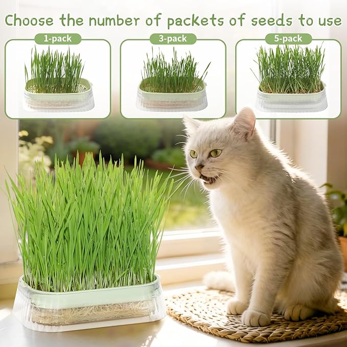Hydroponic Cat Grass Grow Kit with 5Pack Non GMO Seeds, Organic Grass Growing Kit, Cat Grass for Indoor Cats, Soil-Free Planter, Perfect for Beginners, Ideal Birthday Gift for Cat Lovers