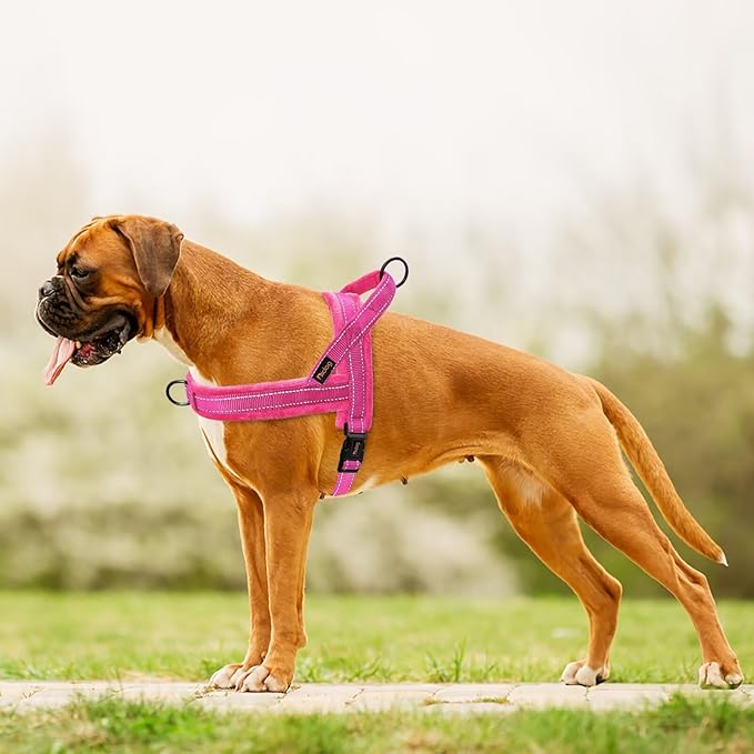 Didog Soft Flannel Padded Dog Vest Harness, No Pull/Quick Fit Reflective Dog Strap Harness, Easy for Training Walking (S:Chest 18-22", Hot Pink)