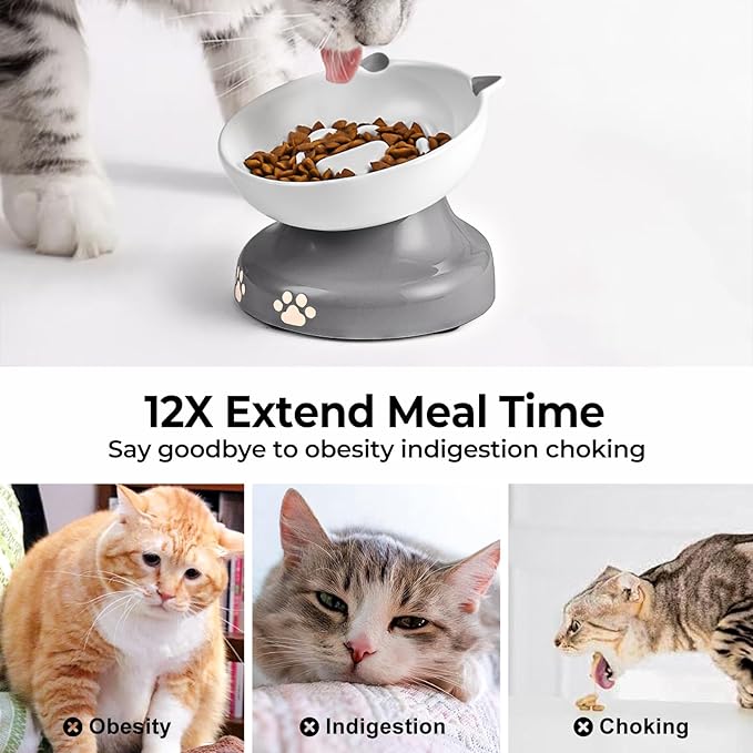 Y YHY Slow Feeder Cat Bowl, Ceramic Elevated Cat Bowl Tilted Design Slow Feeder for Dog and Cat for Dry and Wet Food, Gray