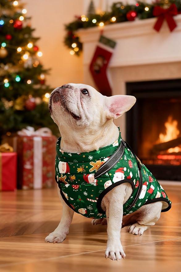 Aiboria Dog Jackets for Winter Windproof Waterproof Vest Fleece Warm Dogs Coat with Belt Christmas Green XL