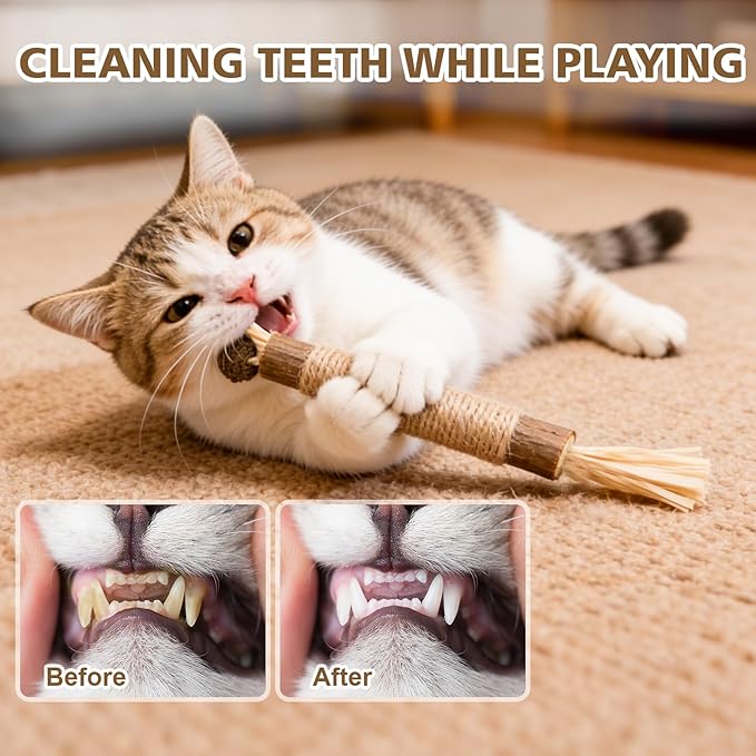 TEAWOO 3 Pcs Natural Silvervine Sticks Cat Toys, Catnip & Matatabi Blend Dental Chew Toys, Teeth Cleaning Kitty Toys for Indoor Cats & Kittens, Edible Chew Sticks for Aggressive Chewers
