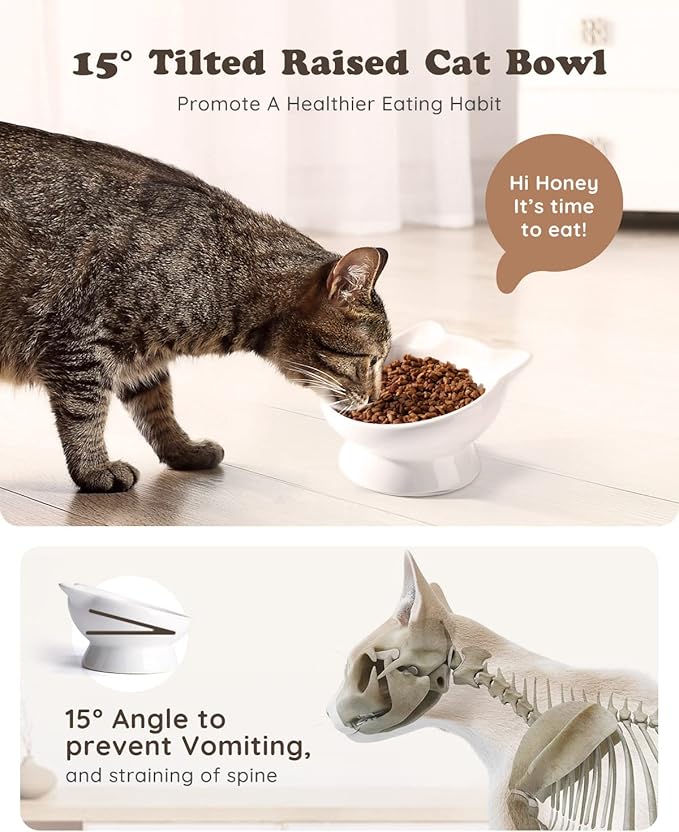 Raised Cat Food Bowl Ceramic 15° Tilted Cat Food Bowls Protect Cat's Spine Anti Vomiting Backflow Prevention for Adult, Kitten, and Small Dogs, White