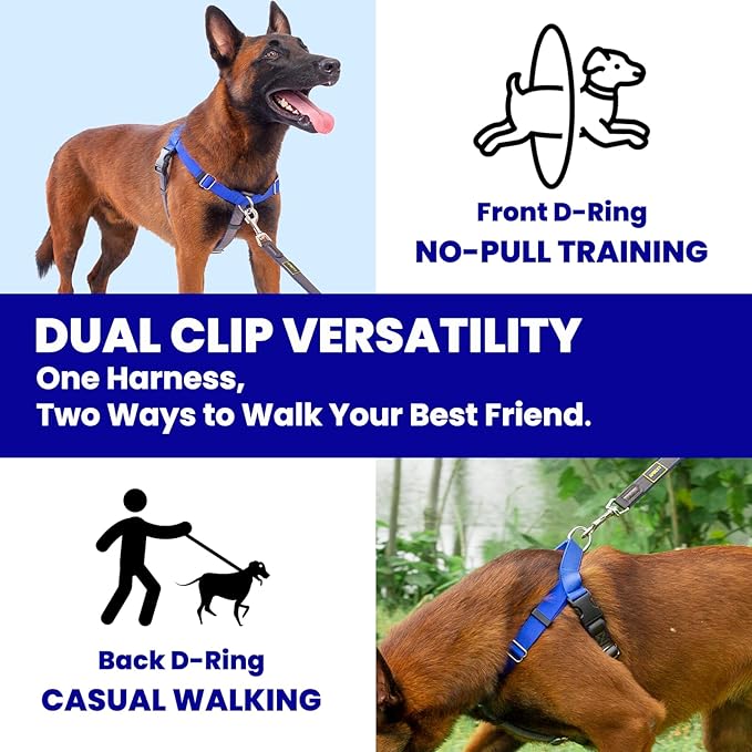 Freedom No Pull Dog Harness, Easy Walker, Stop Pulling with Two Stainless D-Rings, Comfortable, Sewn-in Instructions Tags for Easy Use, for Small Dogs Weight 20-30 lbs (Blue, Small)