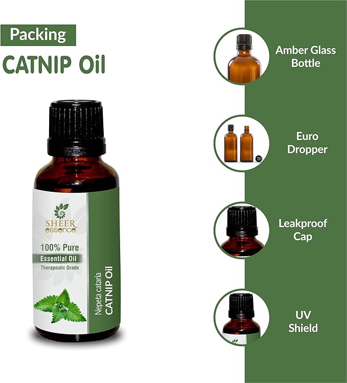 Catnip Oil (Nepeta Cataria) Essential Oil 100% Pure Natural Undiluted Uncut Therapeutic Grade Oil 16.90 Fl.OZ