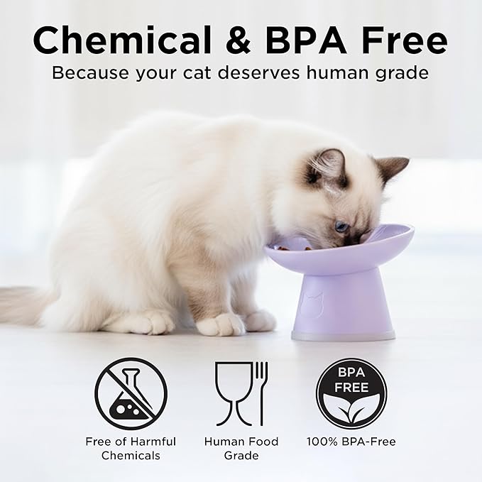 Necoichi 2pcs Tilted Elevated Cat Food Bowls BPA-Free Plastic 15° Tilted Raised Cat Bowl for Whisker & Neck Fatigue, Dishwasher Safe Non-Slip & Anti-Vomiting Ergonomic Design (Lilac Ice)