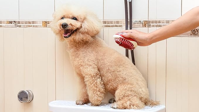 CHI for Dogs Soap Dispensing Palm Brush, Handheld Dog Bathing Scrubber with Built-In Shampoo Dispenser, Soft Rubber Bristles for Massaging and Deep Cleaning All Dog Coat Types, Red