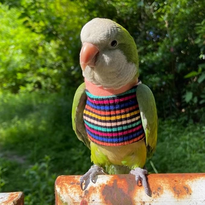 Bird Clothes - Handmade Cotton Stripe Shirt Round Collar Sweater Flight Suit for Parrots African Greys Parakeet Cockatiel Sun Conure Christmas Halloween (with Diaper,Macaw)
