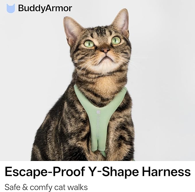 Escape Proof Y Shape Cat Harness Anti-Choke Adjustable Soft Comfortable Padded Cat Vest Harness Anti Escape Cat Rope Harness for Kitten Small Medium Large Cats (Olive, M)
