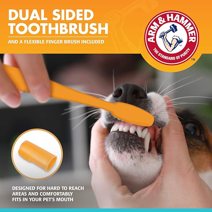 Arm & Hammer for Pets Fresh Breath Kit for Dogs | Contains Toothpaste, Toothbrush & Fingerbrush | Reduces Plaque & Tartar Buildup | Safe for Puppies, 3-Piece Kit, Vanilla Ginger Flavor | 72 Pack