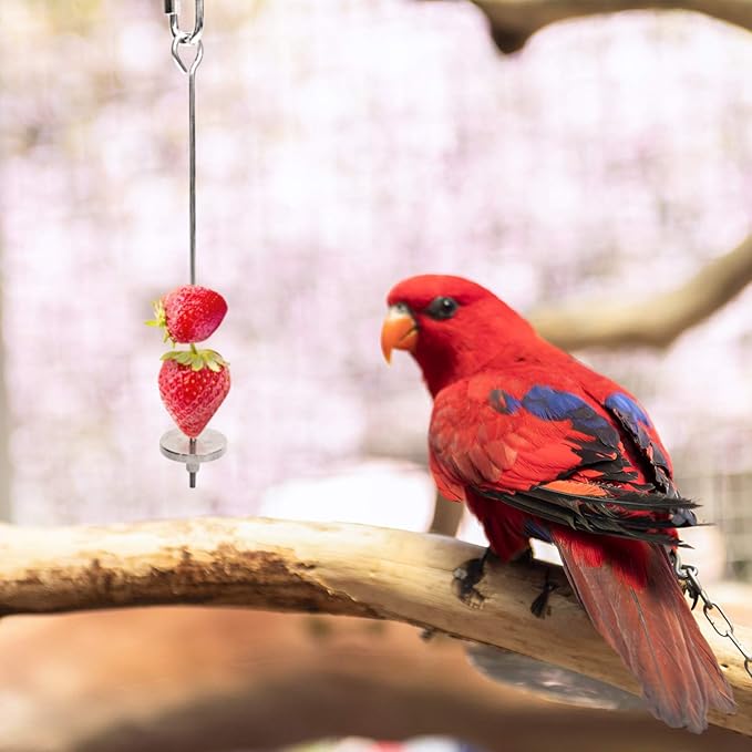 Stainless Steel Bird Food Holder, Parrot Foraging Toy, Hanging Basket, 9.84 in L, 7.87 in W, 82g Weight, Activity Clasp, Fits 12oz Bottle