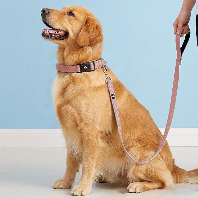 FURRYFECTION Reflective Dog Collar and Leash Set with Quick Release Buckle, Padded with Neoprene Adjustable Nylon Dog Collar for Small Medium and Large Dogs (Medium Collar+5FT Leash, Pink)