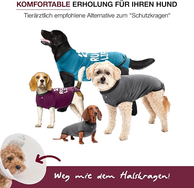 BellyGuard Dog Surgery Recovery Suit, Dog Onesie for Post-Op Care, Recovery Apparel for Female and Male, Surgical Body Cover for Canine Healing Support