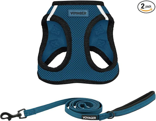 Best Pet Supplies Voyager Step-in Air All Weather Mesh Harness and Reflective Dog 5ft Leash Combo with Neoprene Handle, for Small, Medium and Large Breed Puppies - Blue/Black Trim, Small