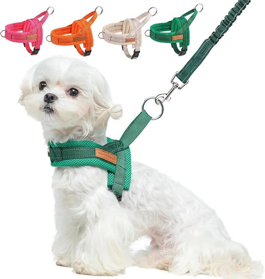 BEAUTYZOO Dog Harness for Small Dogs, No Pull Dog Harness and Leash Set, Soft Escape Proof Puppy Vest Harness with Handle, Reflective Lightweight Step in Harness for Girl Boy Dogs, Green S