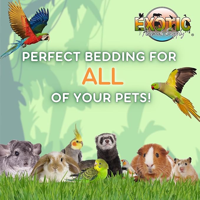 Natural Corn Cob Bedding, Corn Cob Litter, Dust-Free, Birds and Small Animals, ~10 lbs (690 CU in) (Pack of 2)