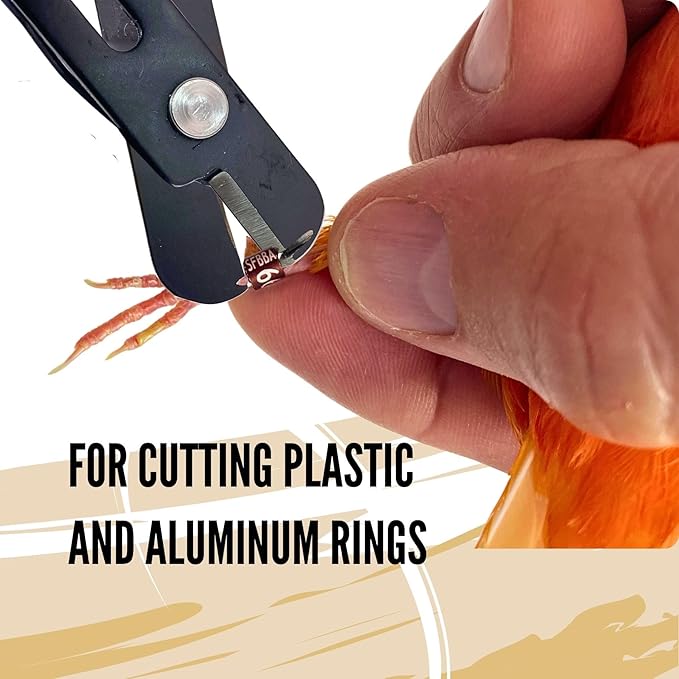 Scissors to Cutting Rings for Aluminum & Plastic Rings - Precision & Safety, for Pigeons, Canaries, Finches, Exotic Birds and Chicken Leg Bands (Red, Black)