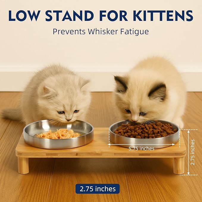 DoogCat Elevated Cat Bowls for Indoor Cats – Raised Bamboo Cat Food Table with 2 Stainless Steel Dishes, Adjustable Height (4.25"/3.07"), Whisker Friendly Feeding Station