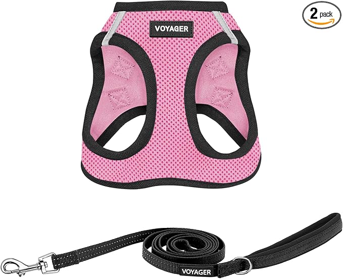 Best Pet Supplies Voyager Step-in Air All Weather Mesh Harness and Reflective Dog 5ft Leash Combo with Neoprene Handle, for Small, Medium and Large Breed Puppies - Pink Base, Small