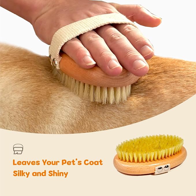 Professional Dog Brush Boar Bristle for Short-Haired Dogs - Reduces Shedding, Non-Slip Grip, Gentle Grooming