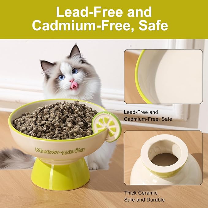 Elevated Cat Bowls Whisker Friendly. Ceramic Raised Whisker Fatigue Cat Bowl for Indoor Cats Protect The Spine and Prevent Vomiting. KGCCIZI