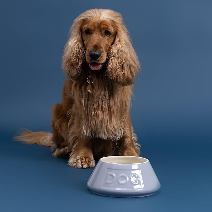 Mason Cash: Non-Tip Dog Bowl - Grey - 8.3", 54oz - Durable Ceramic Food & Water Angled Dish, Microwave-Dishwasher Safe, Pet Meal Feeding & Hydration