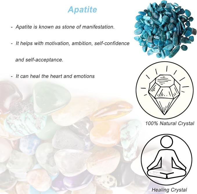 Erliway 100g Natural Apatite Crystal Chips 7-9mm Tumbled Stones | Small Crushed Crystal Stone, Polished Crystals Chips for Fish Tank, Healing Tumbled Rocks for Reiki Jewelry Making Home Décor