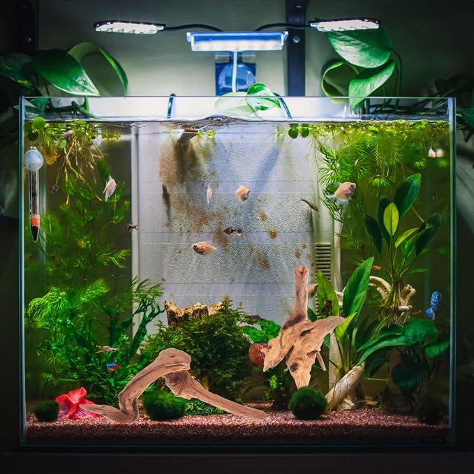 Toddmomy Aquarium Driftwood 4 Pc Set Fish Tank Decorations for Freshwater Aquascaping Small Aquarium Decor Natural Wood for 7.48 X 3.54 X 3.14 in