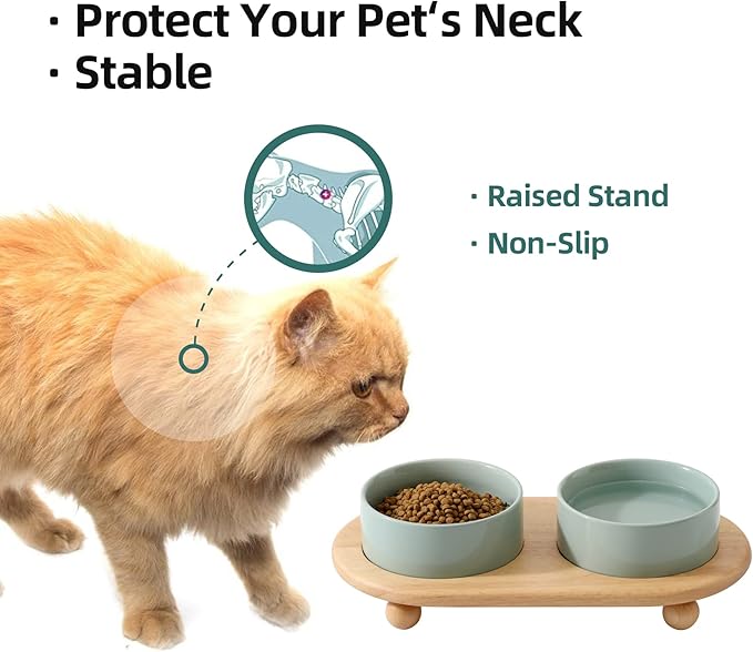 Havniva Raised Cat Water Bowl 5.1” Elevated Ceramic Cat Food and Water Bowl Whisker Friendly Pet Water Bowls for Indoor Cats, Wide Kitten Dish Relieve Whisker Fatigue Non Slip Cat Feeder