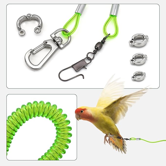 Parrot Flying Leash, 16.4 ft Training Rope with 3 Size Bird Foot Ring, Anti-Bite Elastic String for Cockatiels, Birds, Pigeon (Green)