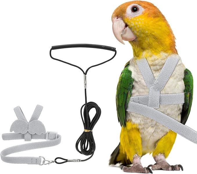 Bird Harness Leash, Adjustable Pet Parrot Bird Harness and Leash Lightweight Anti-Bite Flight Training Rope with Cute Wing, (Gray, XS), Intended for Parrots/Pigeons/Budgies