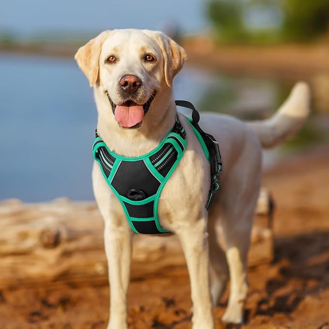 rabbitgoo Dog Harness No Pull with 2 Leash Clips, Adjustable Soft Padded, Reflective Oxford No Choke Pet Vest with Easy Control Handle for Medium Sized Dogs, Black & Turquoise, M