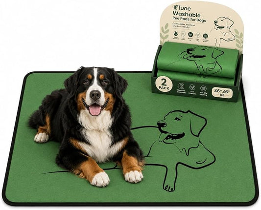 2 Pack Washable Pee Pads for Dogs 36"x36", Reusable Training Puppypads Absorbency Non-Slip & Leak-Proof for Pet Whelping Box Playpen Crate Sofa Bed Floors (Green)