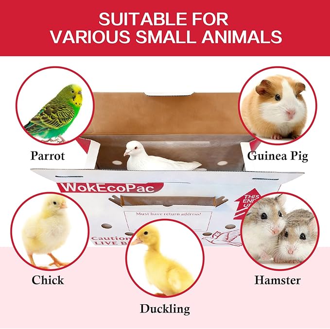 6 Pack Poultry Shipping Boxes, Live Bird Shipping Boxes, Poultry Carrier Crate has Ventilation Openings, Portable Bird Travel Bag, for Poultry Chicken Bird Duck - Size 17.7" x 7.8" x 11.8"