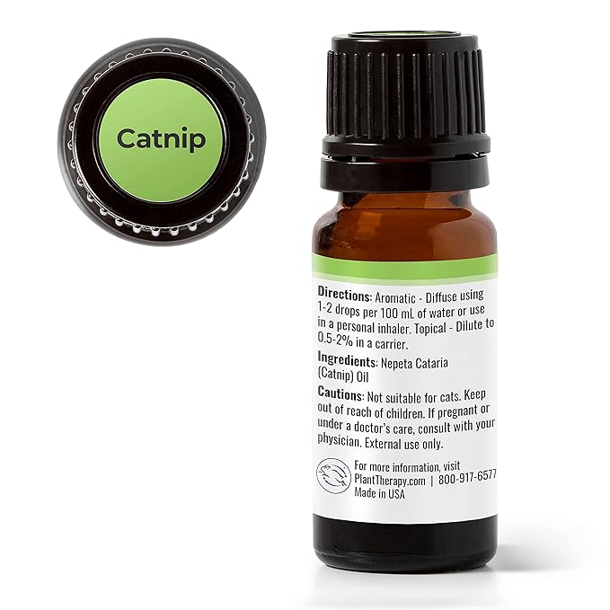 Plant Therapy Catnip Essential Oil 10 mL (1/3 oz), 100% Pure, Undiluted, Natural Aromatherapy, for Out Door Activities, Respiratory Support, and Digestive Relief