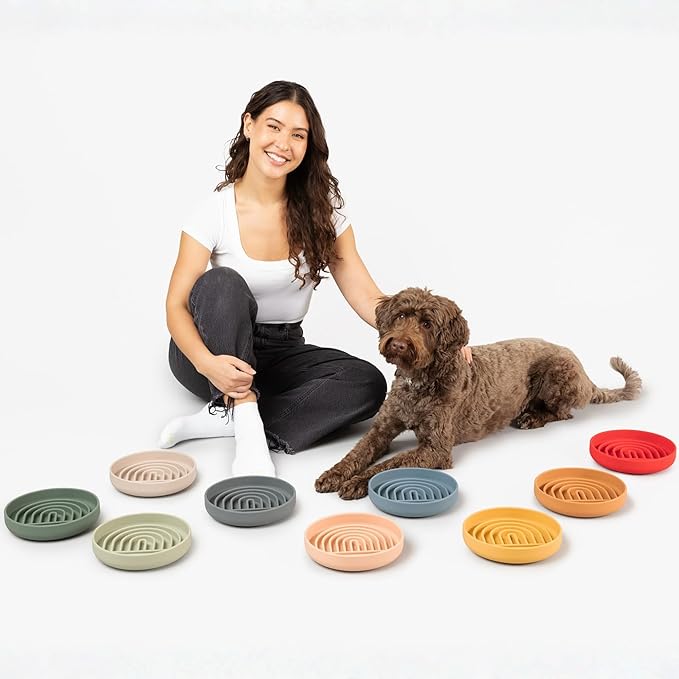 Should We Go? Slow Feeder for Dogs & Puppies, The Slowdown Bowl Silicone Slow Eating, Modern Lick Mat Design, Reduces Gulping, Fits 2 Cups, 7.5” Across x 1.5” Tall, Mealtime Challenge, Medium-Blush