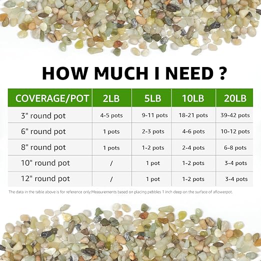 2lbs Natural Gravel Pebbles for Succulents and Cacti, 1/5 Inch Decorative River Stones – Perfect for Vases, Aquariums, Terrariums, and Outdoor Gardening, Mixed Colors (Jade, 2 Pounds)