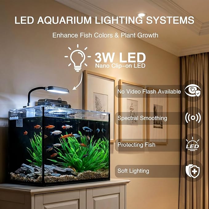 2 Gallon Betta Fish Tank, Small Aquarium Kit,Glass Small Fish Tank,Betta Fish Tank with a lid and Light and Filter, Small Transparent Glass Fish Tank with Light and Filter (Black Glass Background)