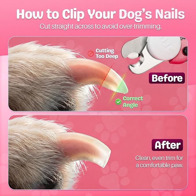 Flexzion Pet Nail Clippers for Dogs & Cats - Stainless Steel Blade Cat Nail Trimmer with Stored Nail File, Safety Guard, Easy Grip Handle - Dog Nail Clippers for Large Dogs, Medium Small Breeds, Pink