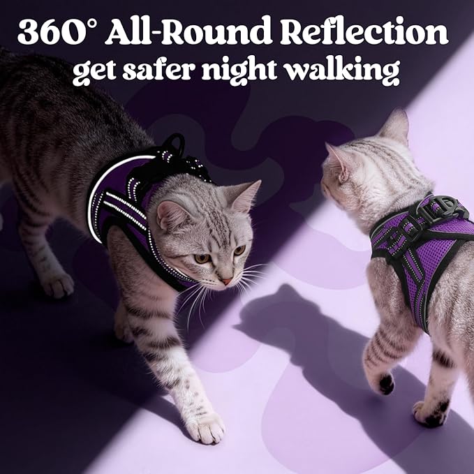 rabbitgoo Cat Harness and Leash Set for Walking Escape Proof, Adjustable Soft Kittens Vest with Reflective Strip for Cats, Comfortable Outdoor Vest, Purple, S