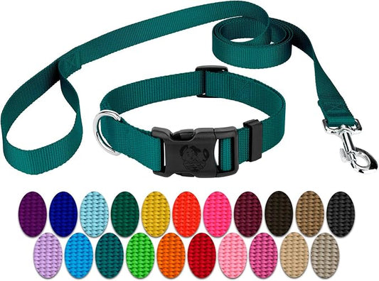 Country Brook Petz - Everyday Nylon Dog Collar and Leash - 10+ Cool Colors (3/8 Inch, 3XS, Teal)