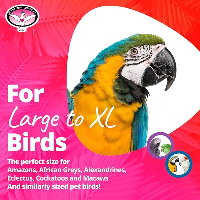 Super Bird Creations - SB478 XL 4 Way Play Bird Toy - Colorful Wooden Blocks, Ringing Bell, and Bird Swing - Perfect Chew Toys for Macaws Parrots & Amazons - Ideal for Large to Extra Large Birds
