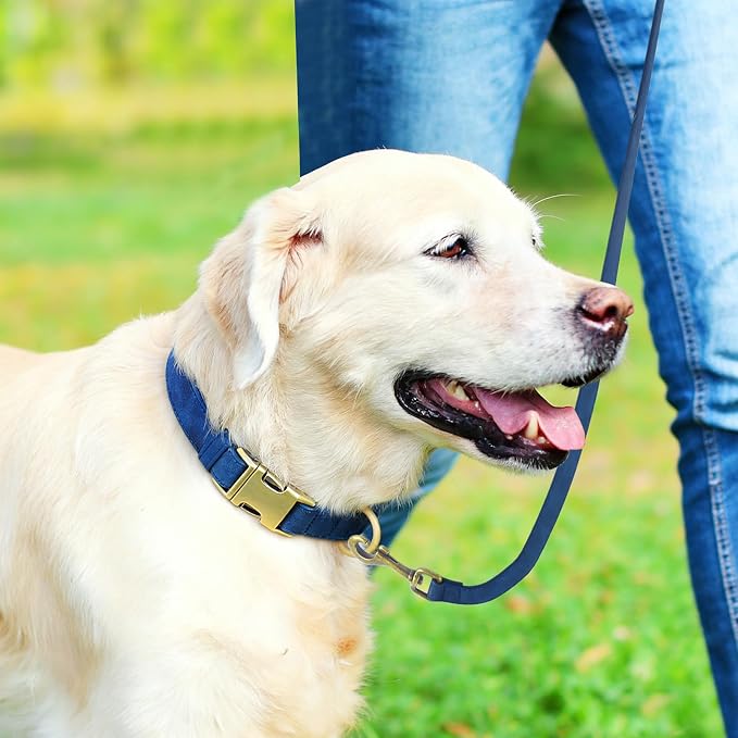 Genuine Leather Dog Collar - Adjustable Pet Collar with Quick Release Metal Buckle, Soft Skin Friendly Real Leather Collar for Small, Medium, Large Dogs (Blue Collar + Rope, L：Fit 15-23" Neck)
