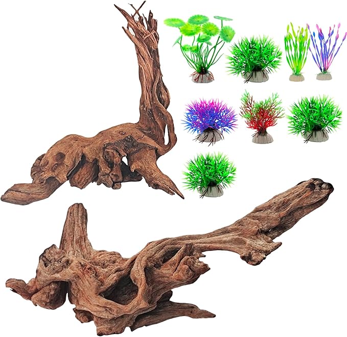 Natural Driftwood Decor for Aquarium Decorations Reptile Tank Accessories, Assorted Wood Branches Decorations on Reptile Fish Tank 2-10" 2 Pcs/4 Pcs/ 5 Pcs/ 6 Pcs (Pack of 2 (7.5 to 10 Inch))