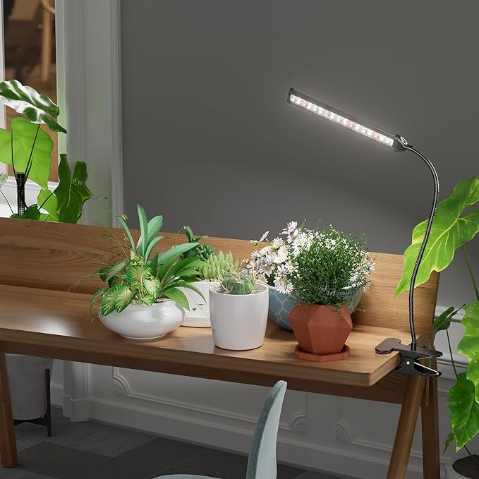 Grow Light for Indoor Plants Growing, 6000K Full Spectrum | Desk Lamp with Red Blue LED for Plants Growth, Strong Clamp with Gooseneck , Dimmable with Auto Timer